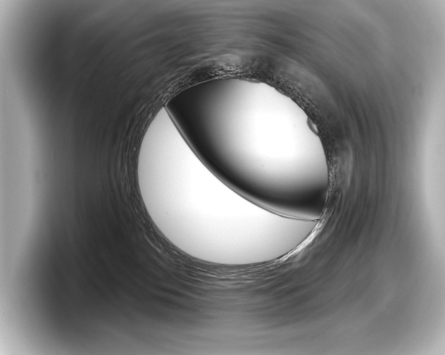 X0000098170186200804241017