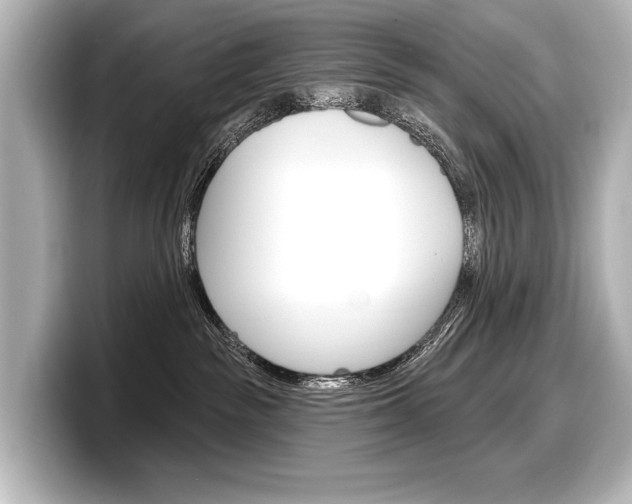 X0000098170189200804241017