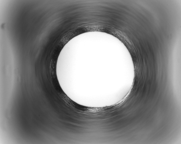 X0000098170190200804241017