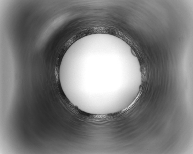 X0000098170191200804241017