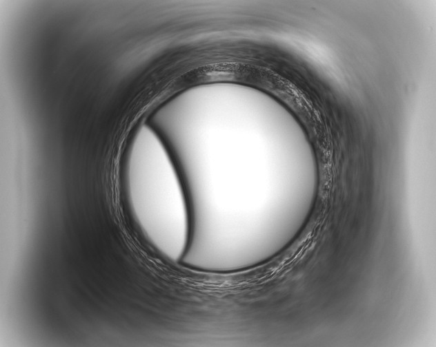 X0000098170194200804241017