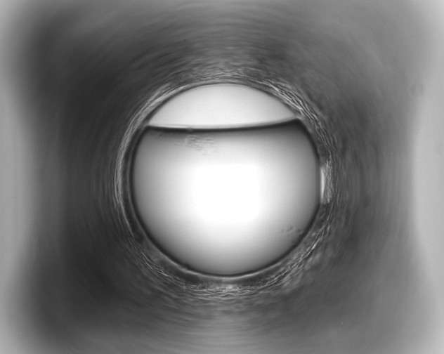 X0000098170195200804241017