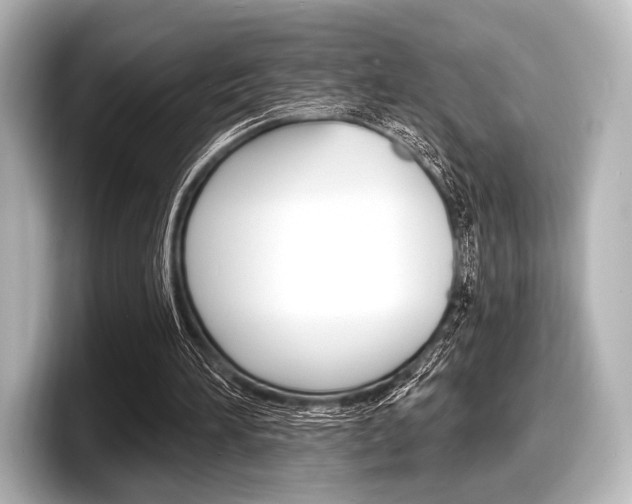X0000098170196200804241017