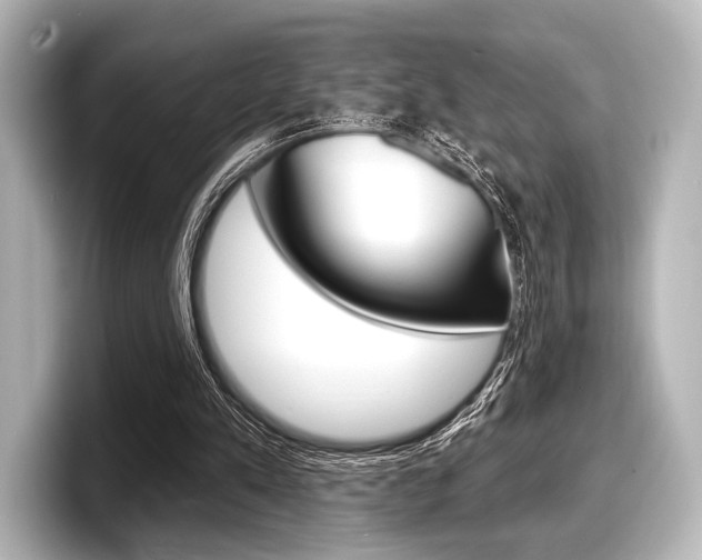 X0000098170197200804241016