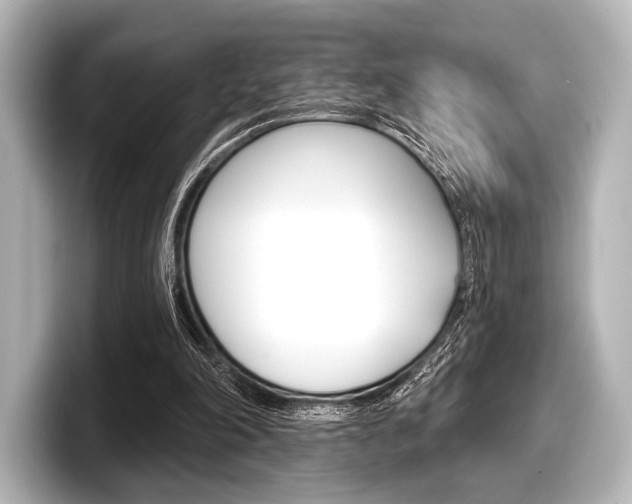 X0000098170198200804241016