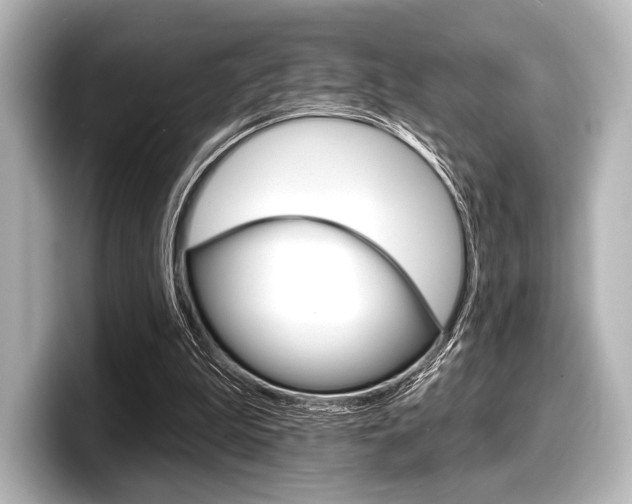 X0000098170199200804241016