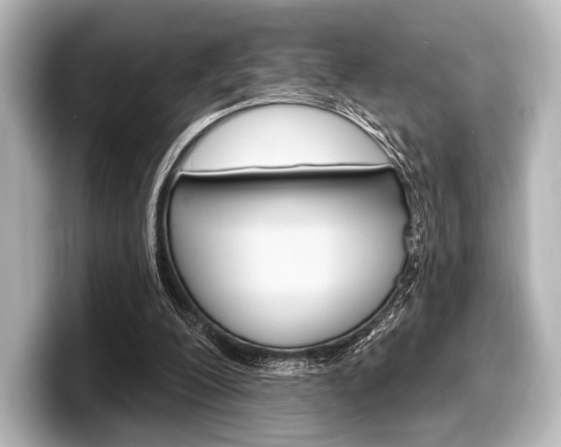 X0000098170200200804241016