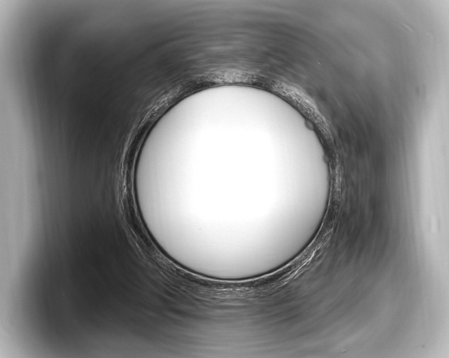 X0000098170202200804241016