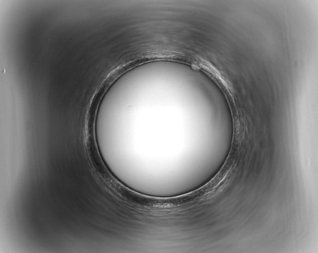 X0000098170203200804241016