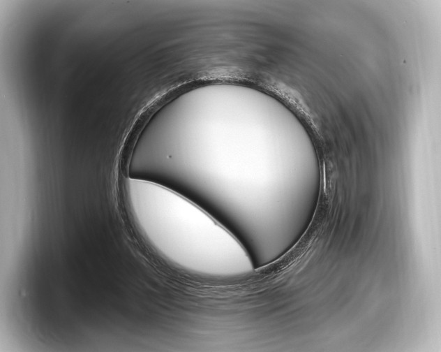 X0000098170204200804241016