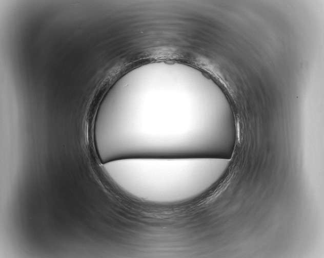 X0000098170205200804241016