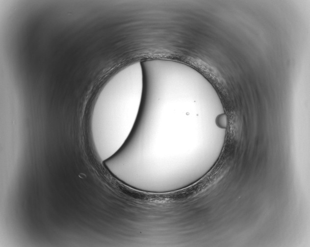X0000098170206200804241016