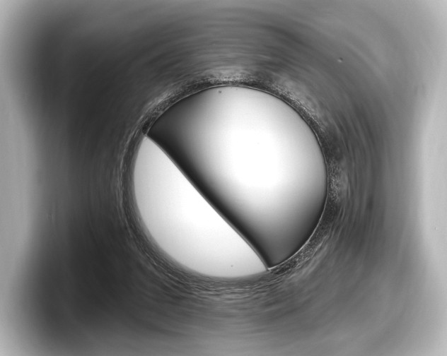 X0000098170207200804241016