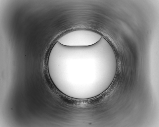 X0000098170208200804241016