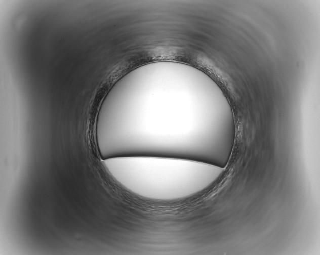 X0000098170209200804241016