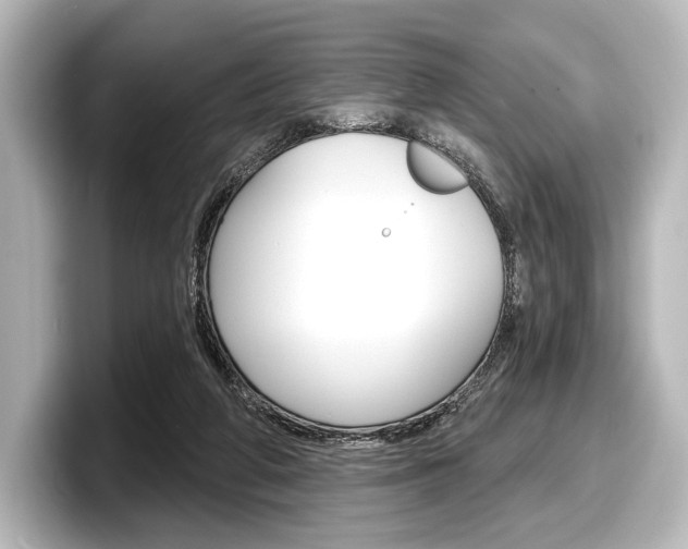 X0000098170210200804241016