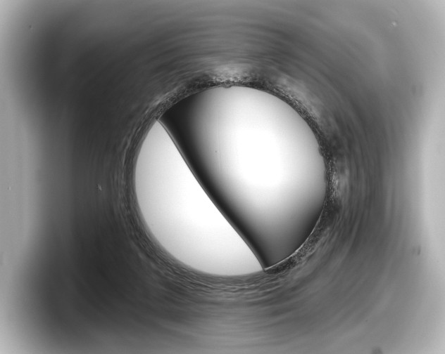 X0000098170211200804241016
