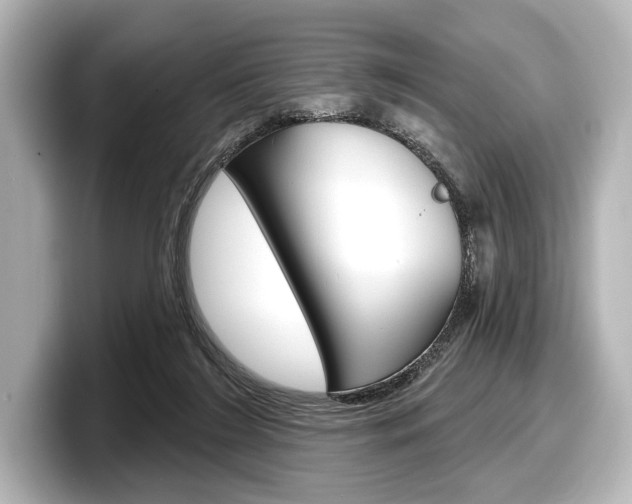 X0000098170212200804241016