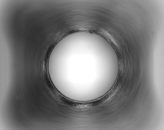 X0000098170213200804241016