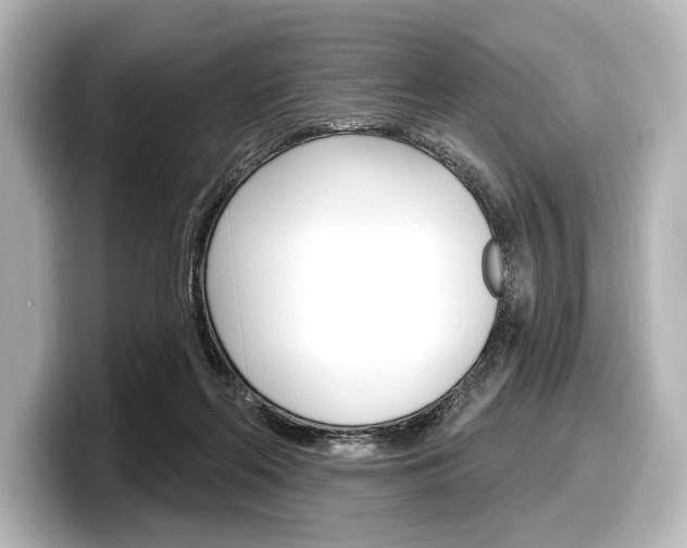 X0000098170214200804241016