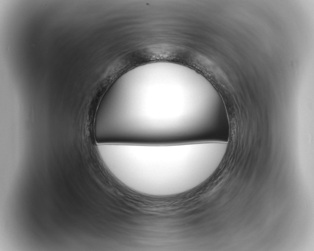 X0000098170215200804241016