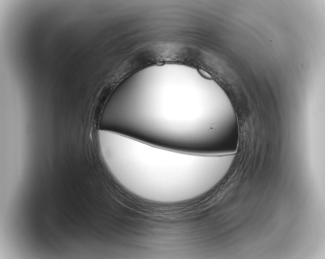X0000098170217200804241016