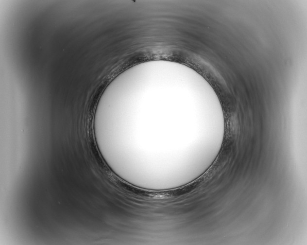X0000098170218200804241016
