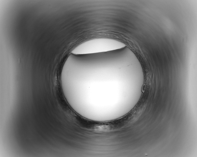 X0000098170220200804241016