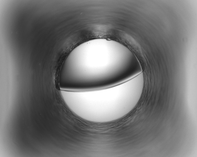 X0000098170221200804241016