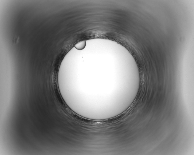 X0000098170222200804241016