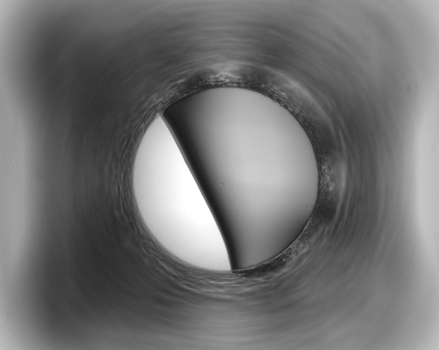 X0000098170223200804241016