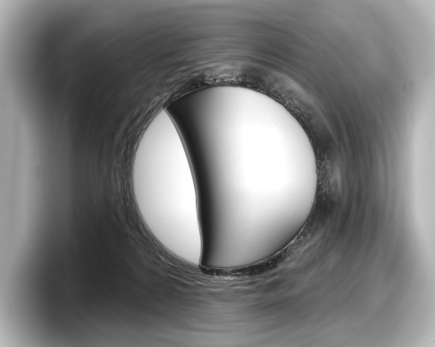 X0000098170224200804241016