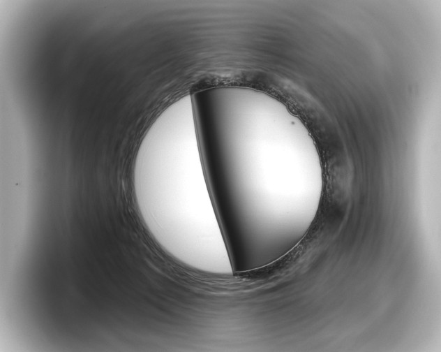 X0000098170225200804241016