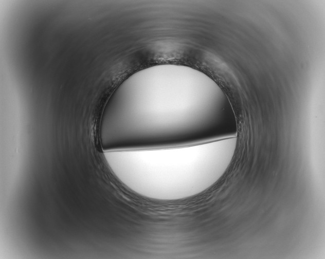 X0000098170227200804241016