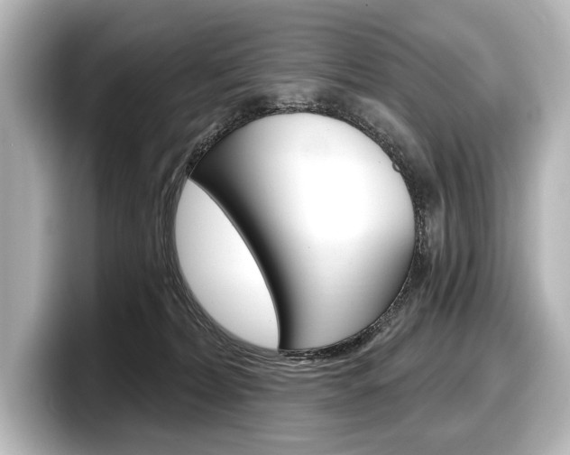 X0000098170228200804241016
