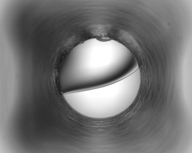 X0000098170229200804241016