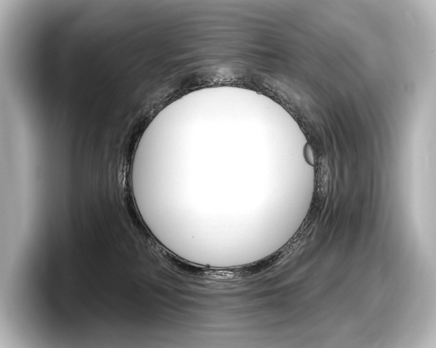 X0000098170230200804241016