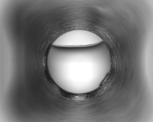 X0000098170232200804241016