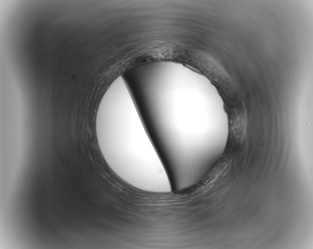 X0000098170233200804241016