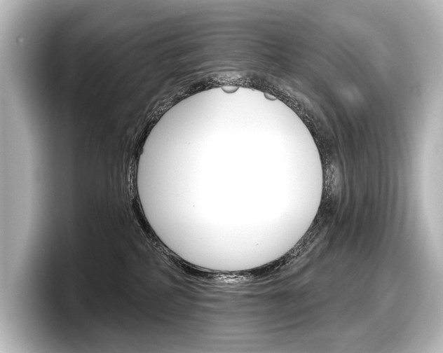 X0000098170234200804241016