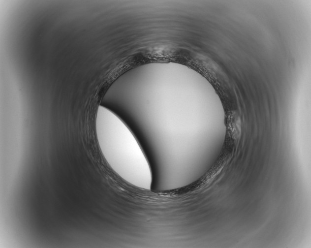 X0000098170235200804241016