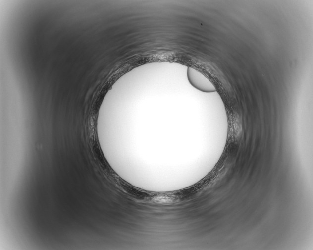X0000098170236200804241016