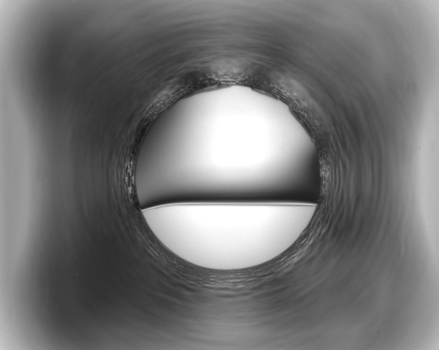 X0000098170237200804241016