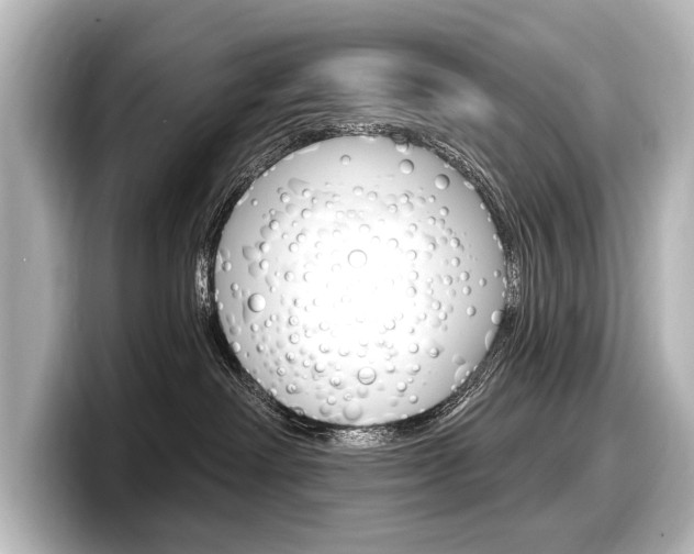X0000098170238200804241016