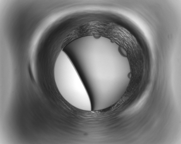 X0000098170239200804241016