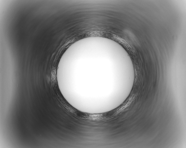 X0000098170240200804241016