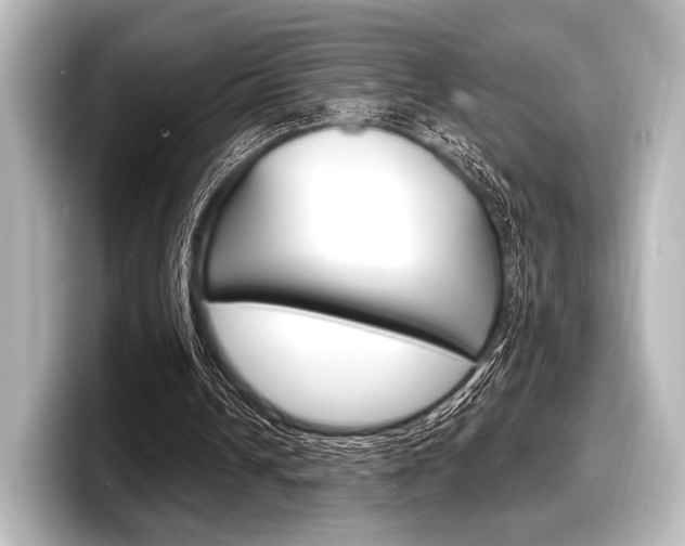 X0000098170242200804241015