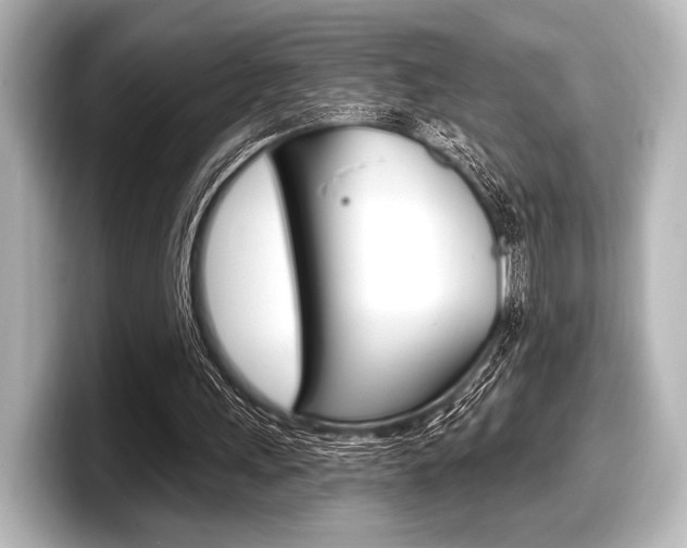 X0000098170243200804241015