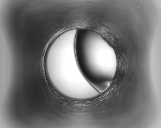 X0000098170244200804241015