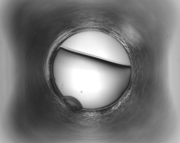 X0000098170245200804241015